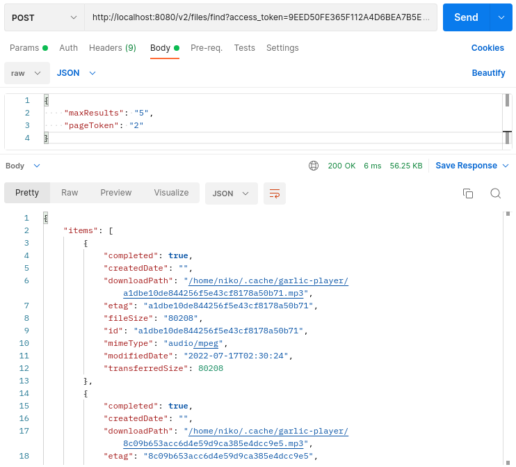Postman screenshot for find files